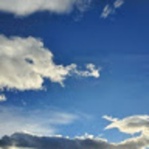 Meet your Posher, Ella